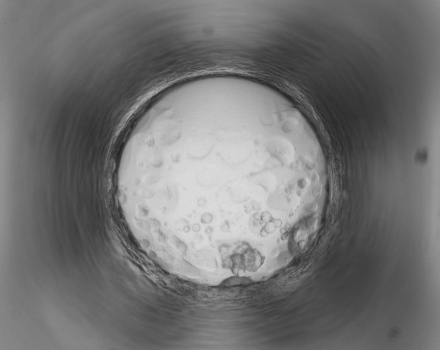 X0000115010435200912071208