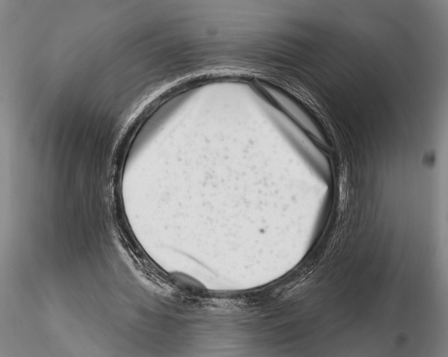 X0000115010436200912071208