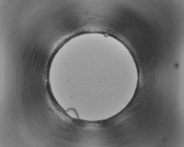X0000115010438200912071208