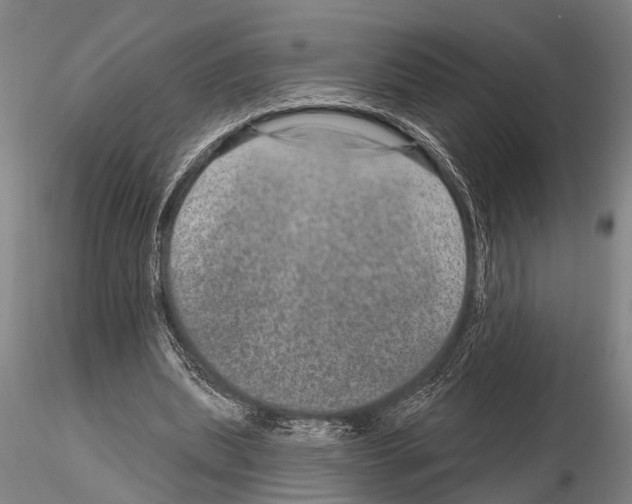 X0000115010439200912071208