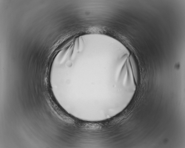 X0000115010443200912071208