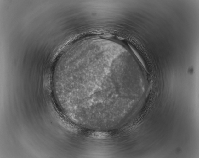 X0000115010444200912071208