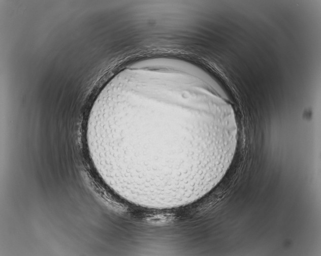 X0000115010447200912071208