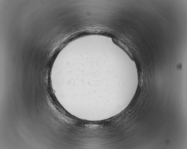 X0000115010448200912071208