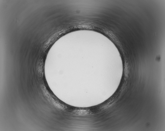 X0000115010449200912071208