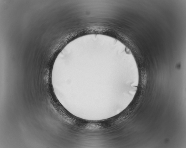 X0000115010451200912071208