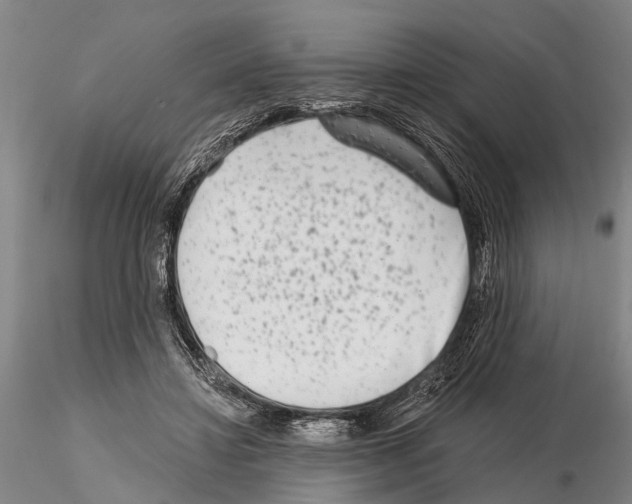 X0000115010452200912071208