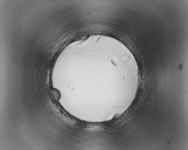 X0000115010454200912071208
