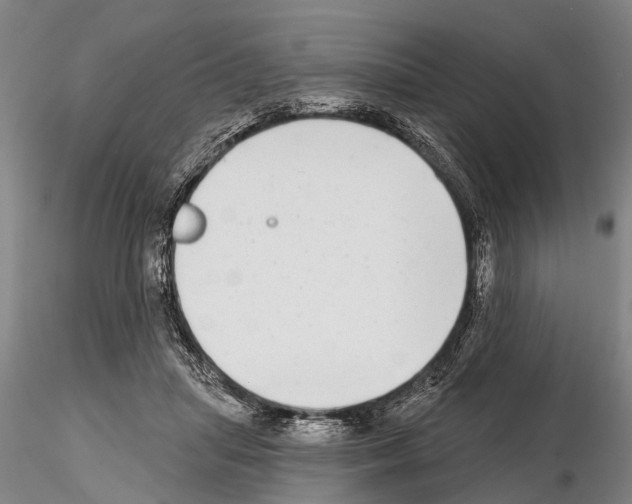 X0000115010455200912071208