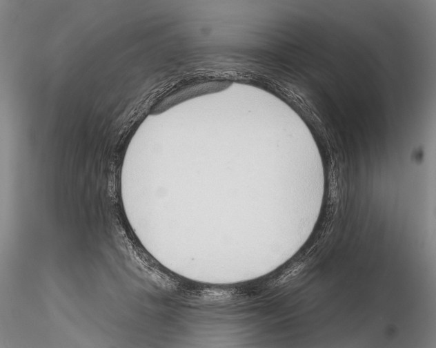 X0000115010457200912071208