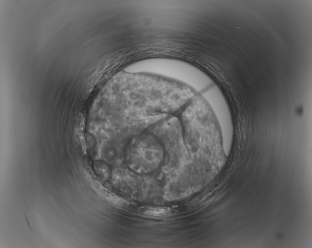 X0000115010458200912071208