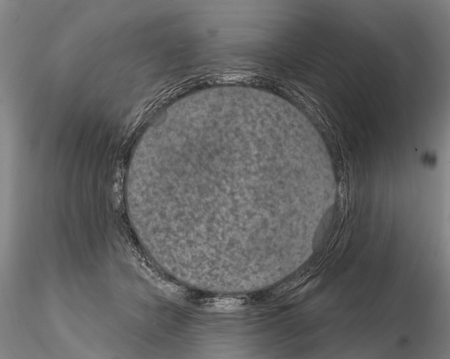 X0000115010462200912071208