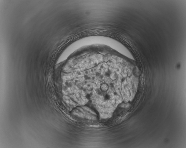 X0000115010467200912071208