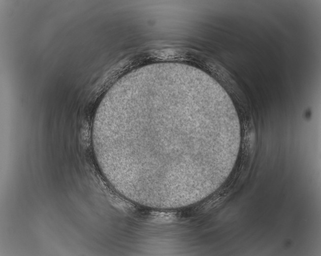 X0000115010469200912071208