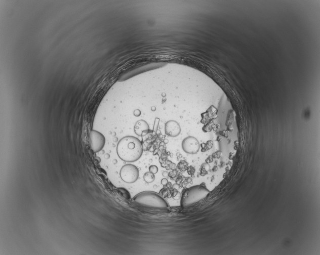 X0000115010470200912071208