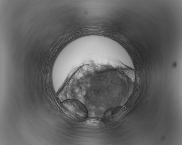 X0000115010471200912071208