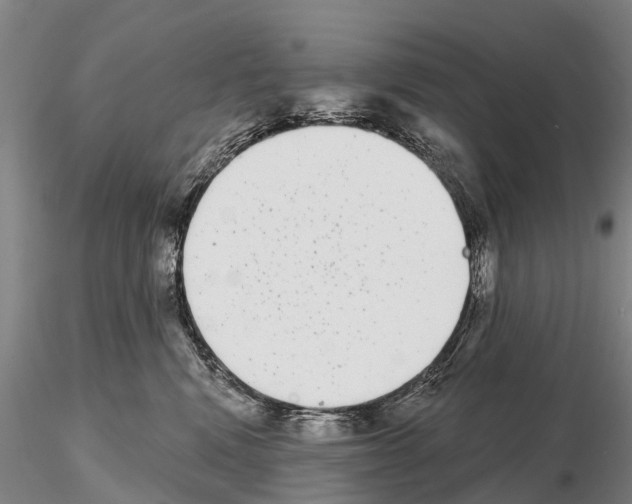 X0000115010472200912071208
