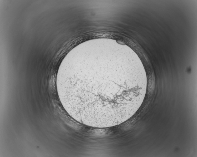 X0000115010473200912071208