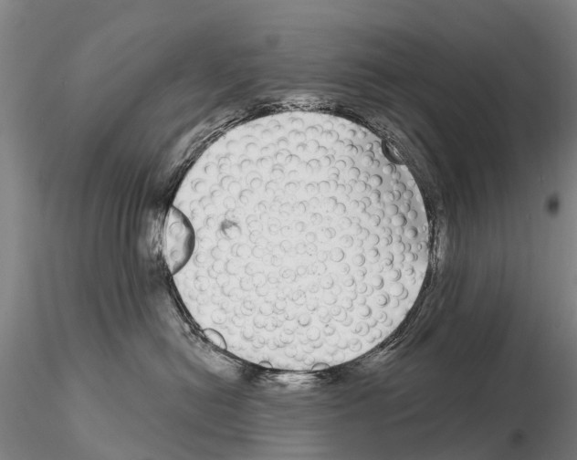 X0000115010478200912071208