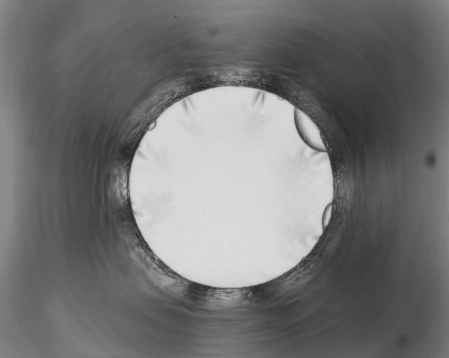 X0000115010479200912071208