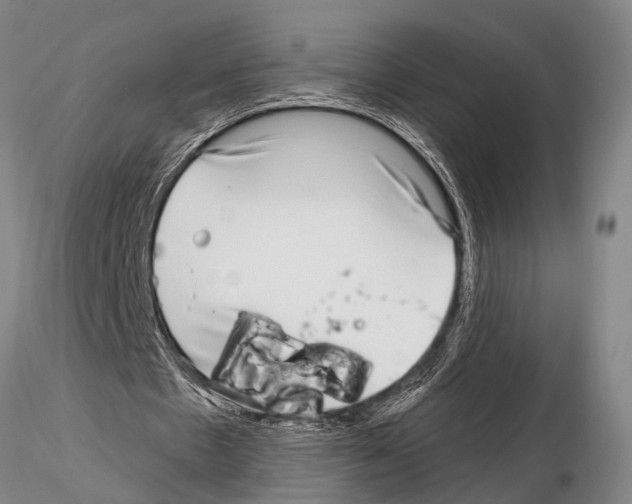 X0000115010481200912071208