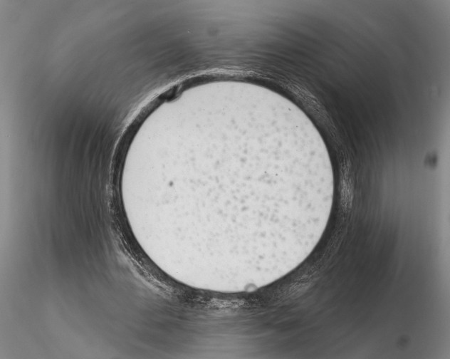 X0000115010484200912071208