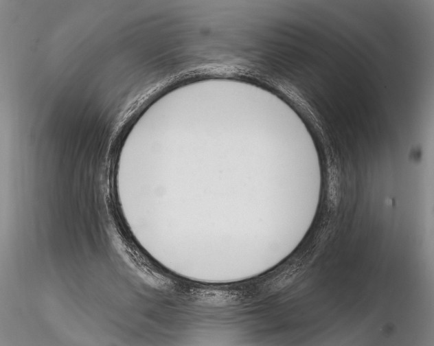 X0000115010486200912071208