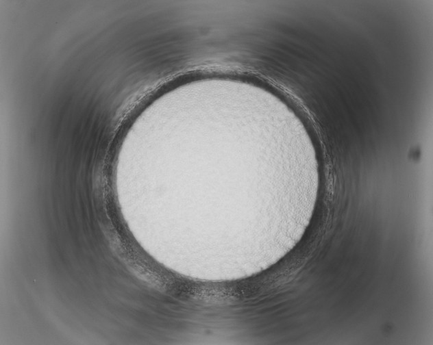 X0000115010487200912071208