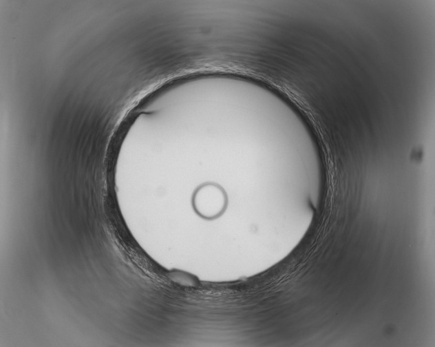 X0000115010488200912071208