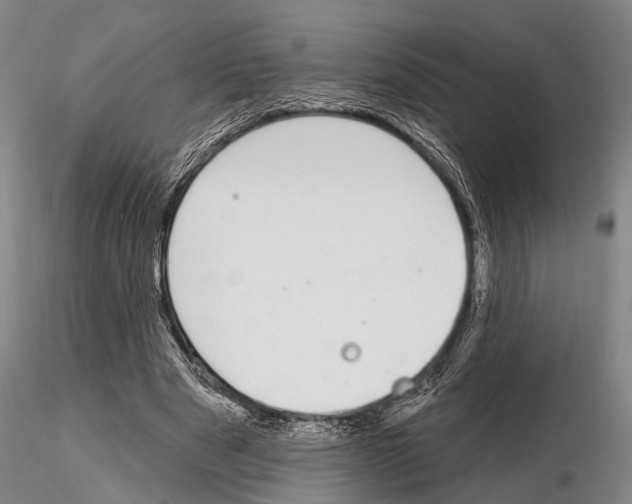 X0000115010489200912071207