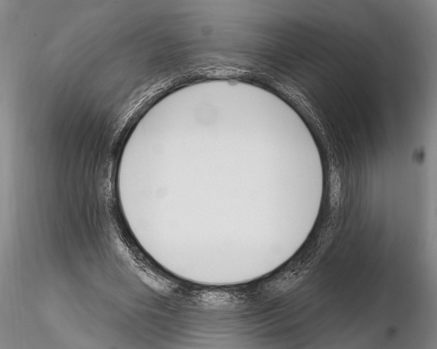 X0000115010490200912071207