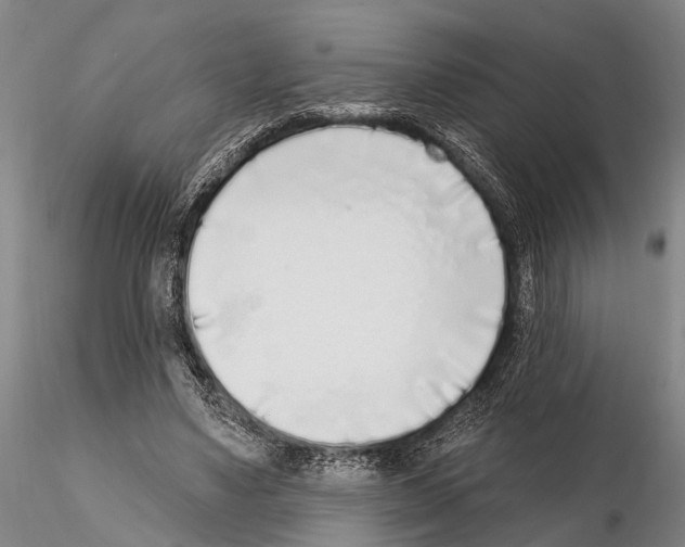 X0000115010491200912071207