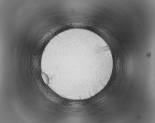 X0000115010495200912071207