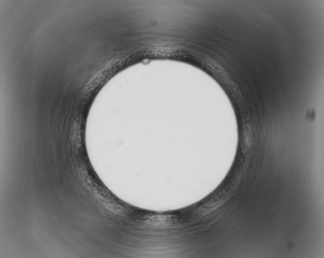 X0000115010497200912071207