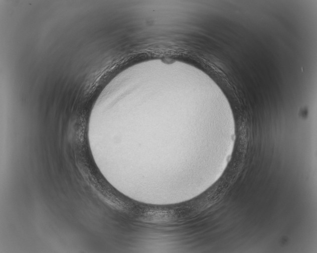 X0000115010499200912071207