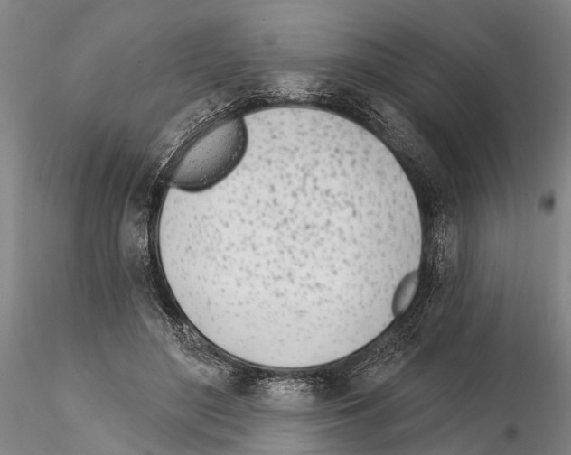X0000115010500200912071207