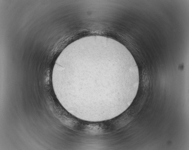X0000115010502200912071207