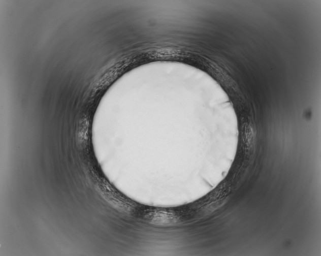 X0000115010507200912071207