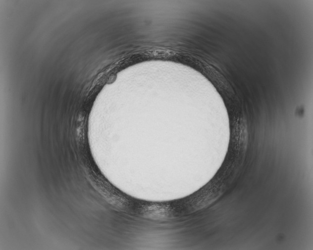 X0000115010511200912071207
