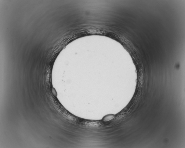 X0000115010513200912071207