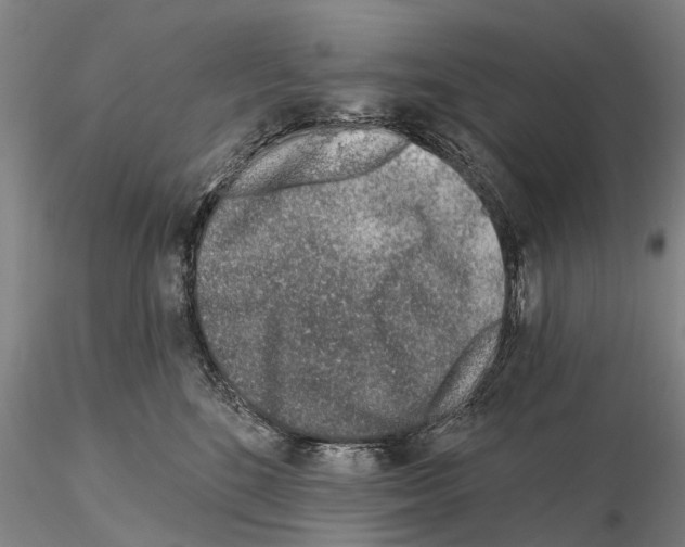 X0000115010520200912071207
