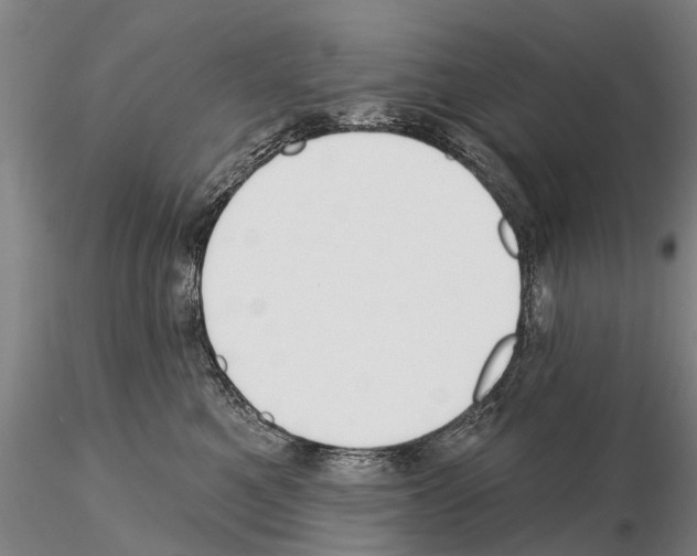 X0000115010521200912071207