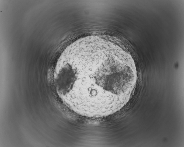 X0000115010523200912071207