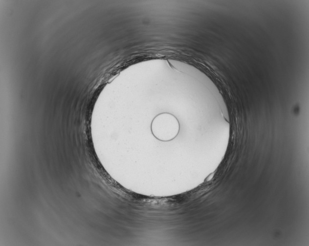X0000115010524200912071207