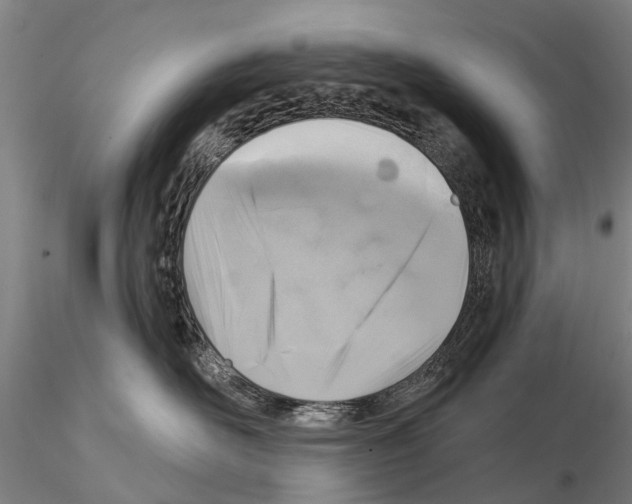 X0000115010526200912071207