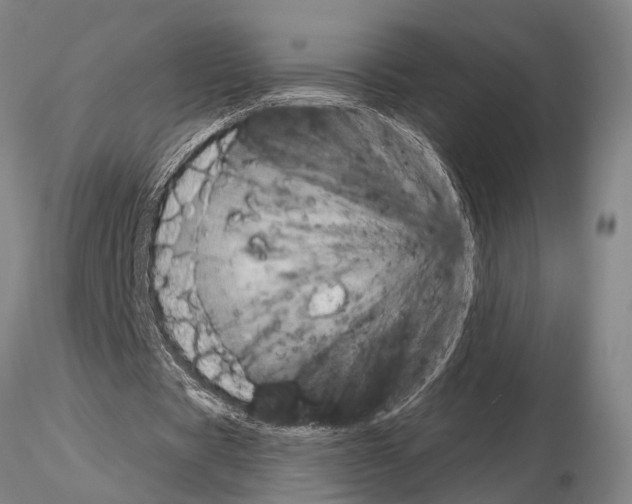 X0000115010529200912071206
