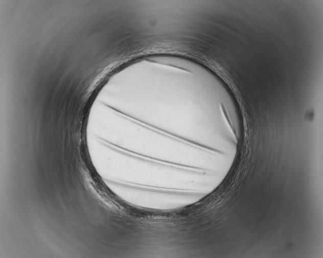 X0000115010530200912071206