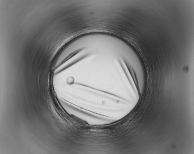 X0000115010534200912071206