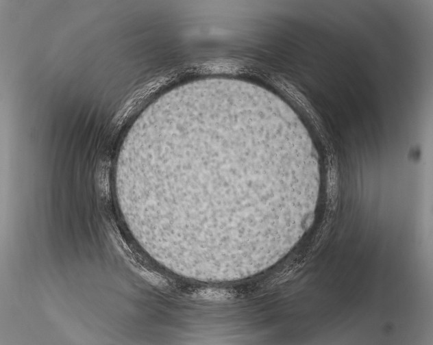 X0000115010537200912071206