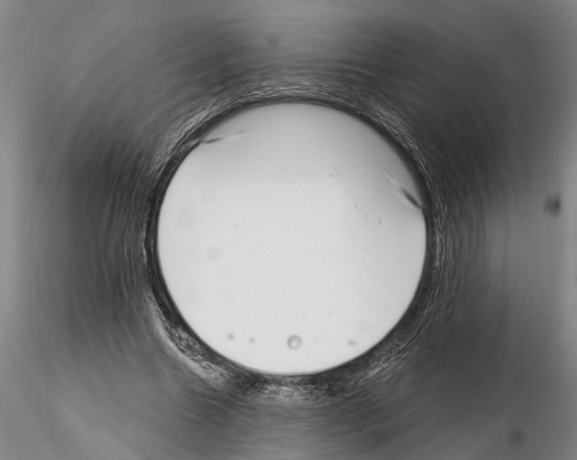 X0000115010538200912071206